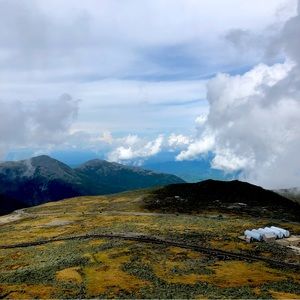 Meet your Posher, Merry